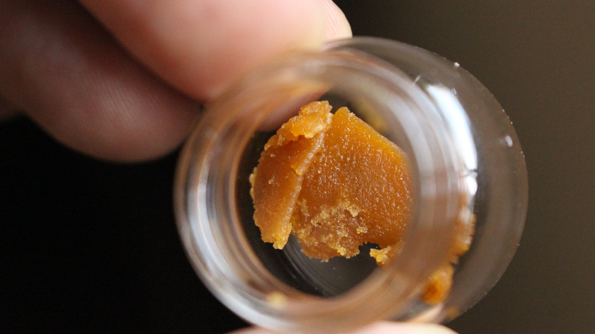 The Art of Wax for Weed: Elevating Your Cannabis Experience缩略图