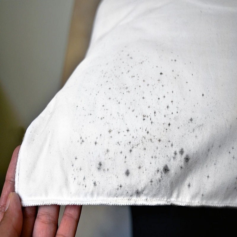 remove mildew from fabric