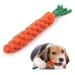 Chew Toys