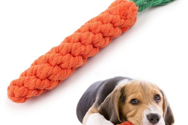 Pet Toys for Small Dogs: Smart Innovations to Watch in 2025 Chew Toys