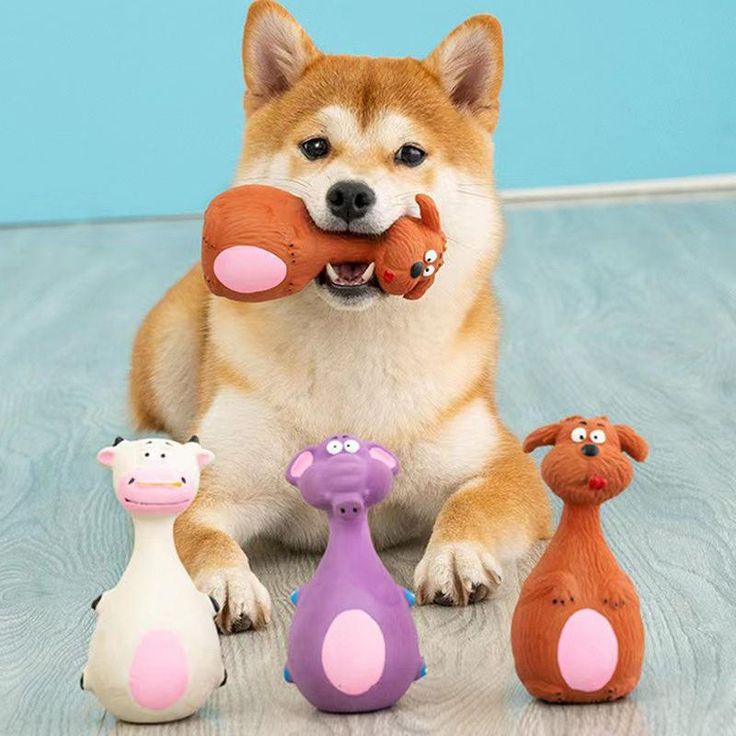 Dog Toys