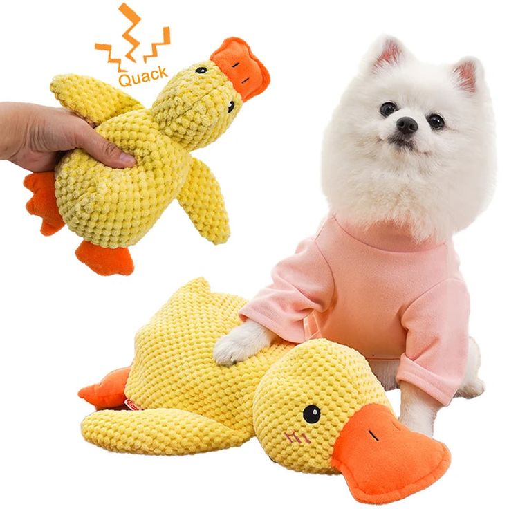 Duck Toy