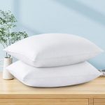 Down Pillow