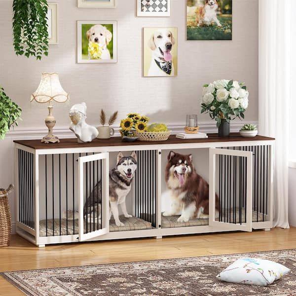  dog kennel
