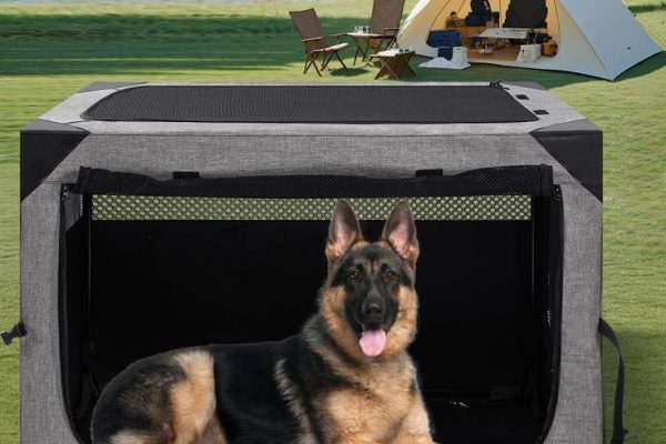Travel Dog Kennel: Tips for Choosing the Perfect One Dog travel carrier