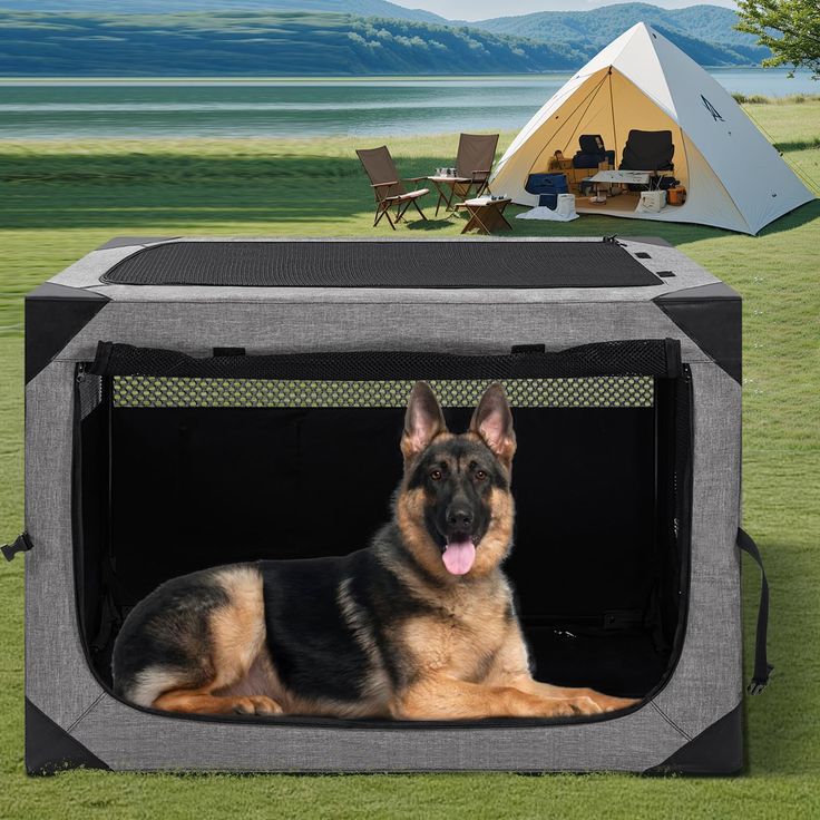 Dog travel carrier