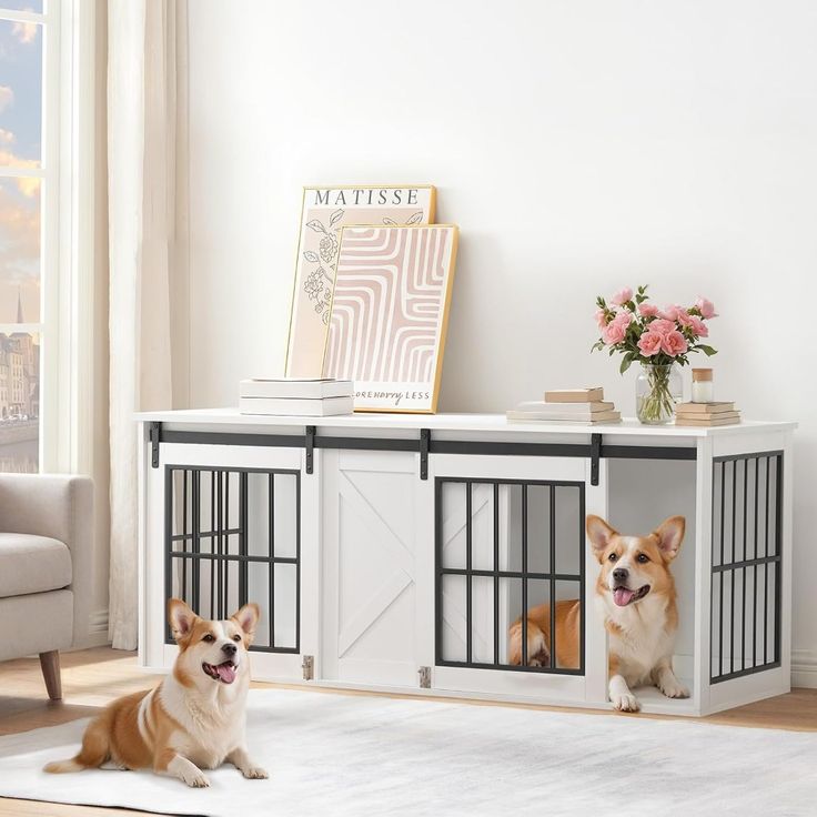 Dog house