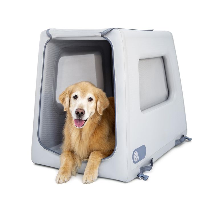 travel dog kennel
