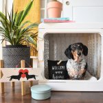 decorative kennel