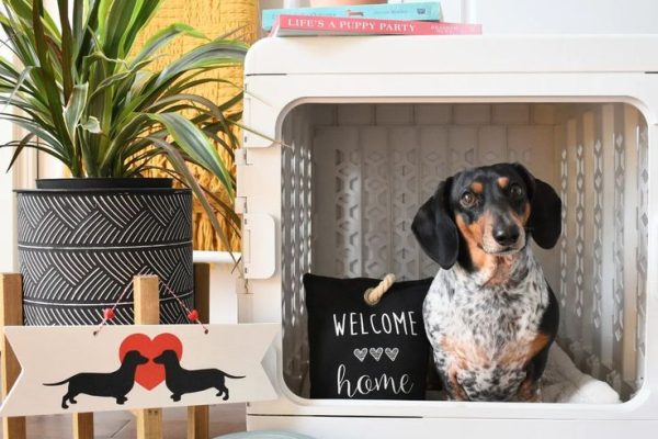 Decorative Dog Kennel: Stylish Solutions for Your Home decorative kennel