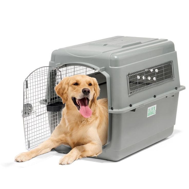 travel kennel