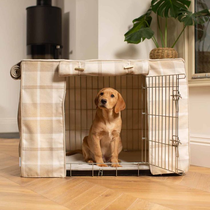 decorative dog kennel