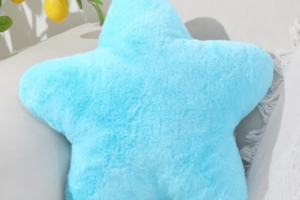Blue Accent Pillows: Perfect Touch for Coastal Decor Cushion