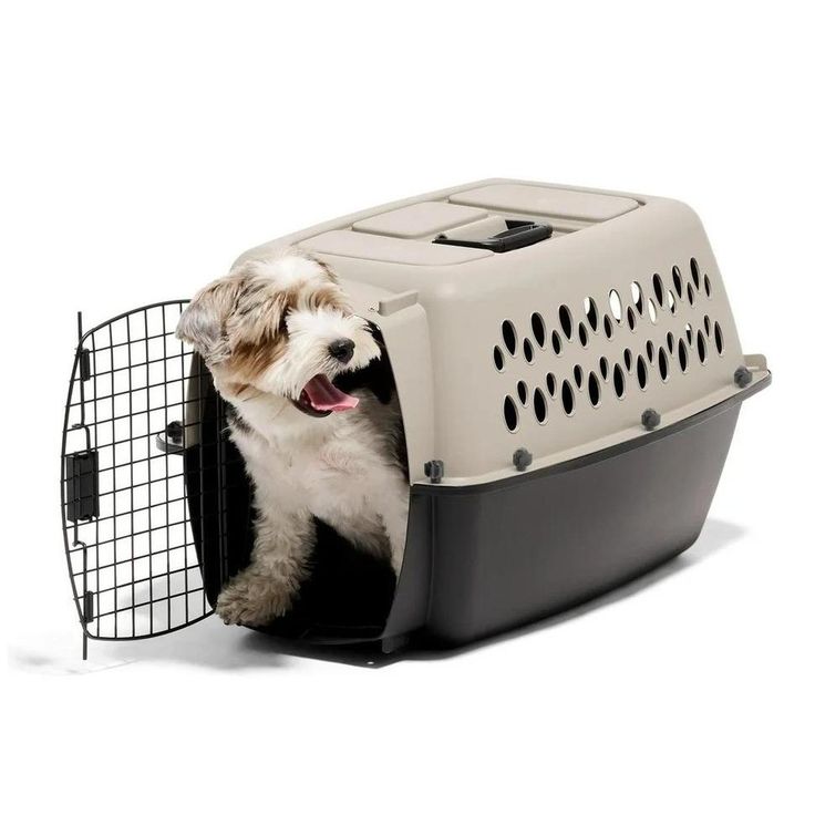 dog kennel