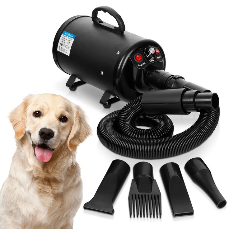 best dog hair dryer