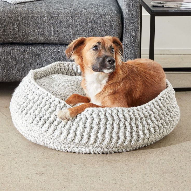 kennel