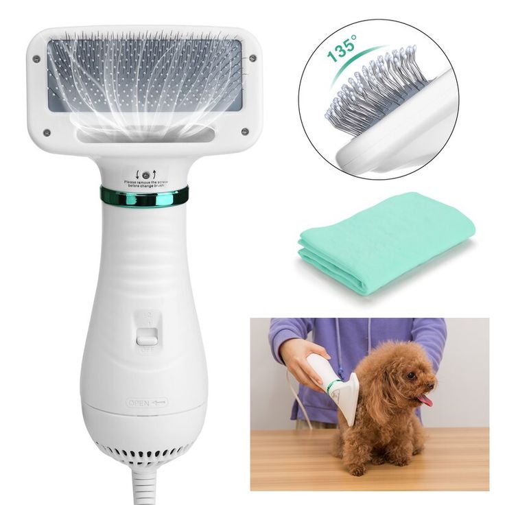 Pet hair dryer