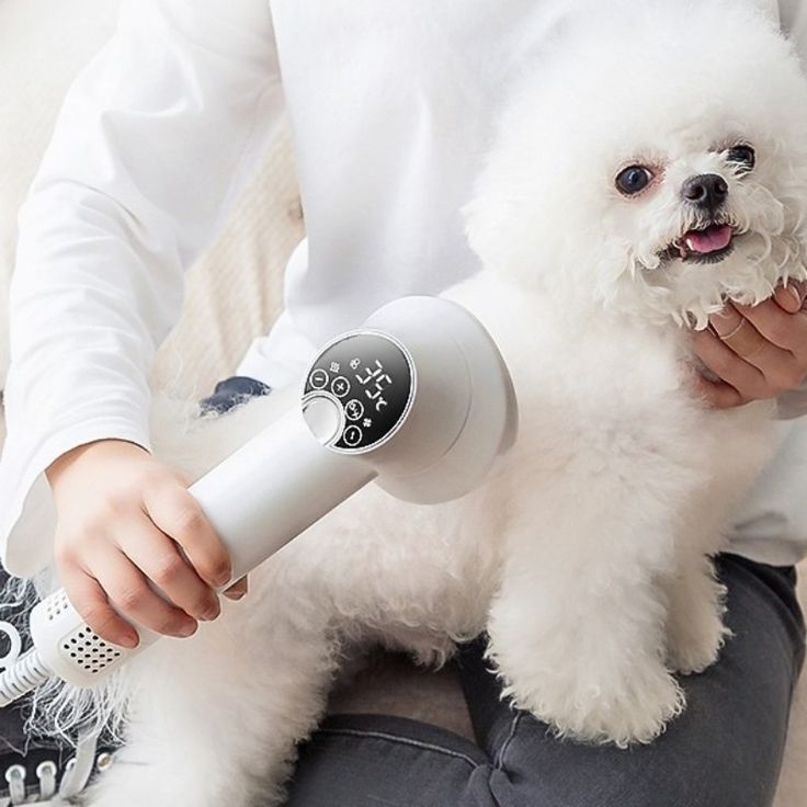 Dog blow dryer