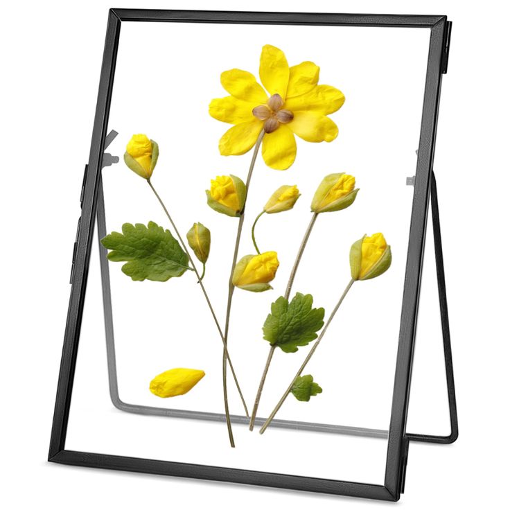 Artwork frame