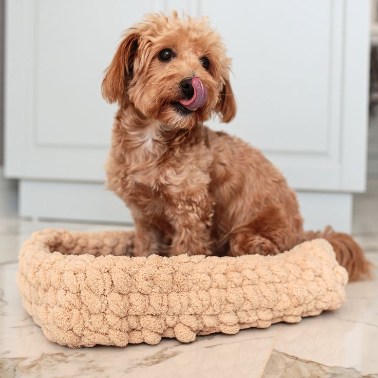 Handmade pet bed