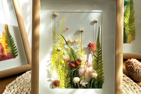 Image frame
