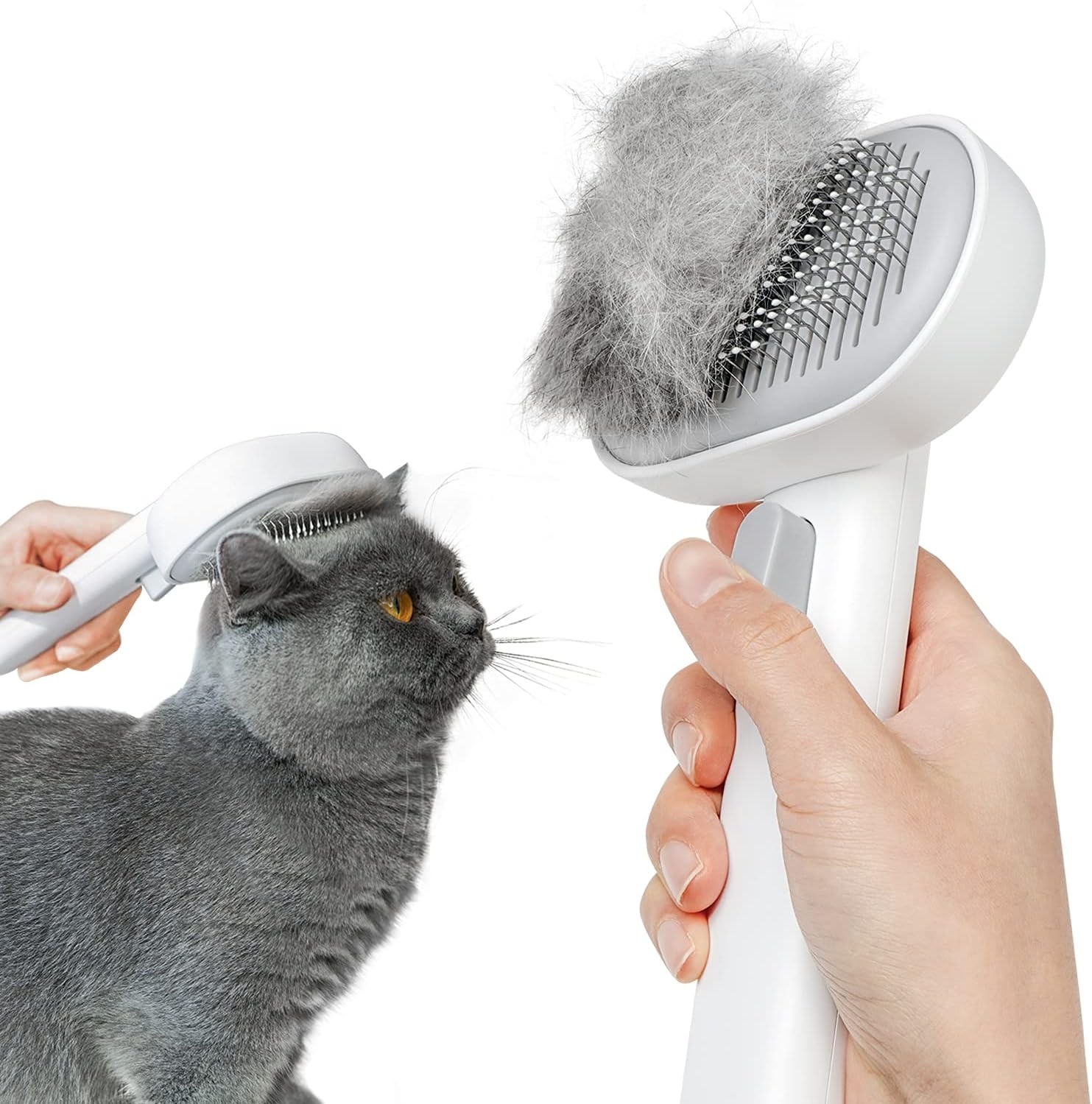 cat brush