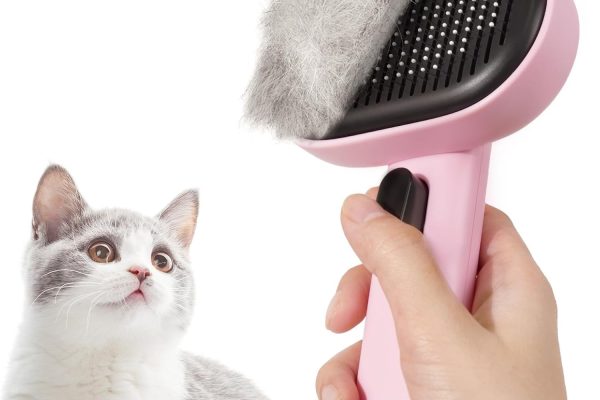 cat brush