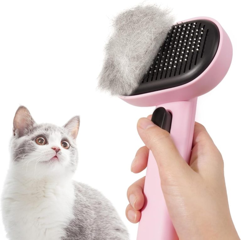 cat brush