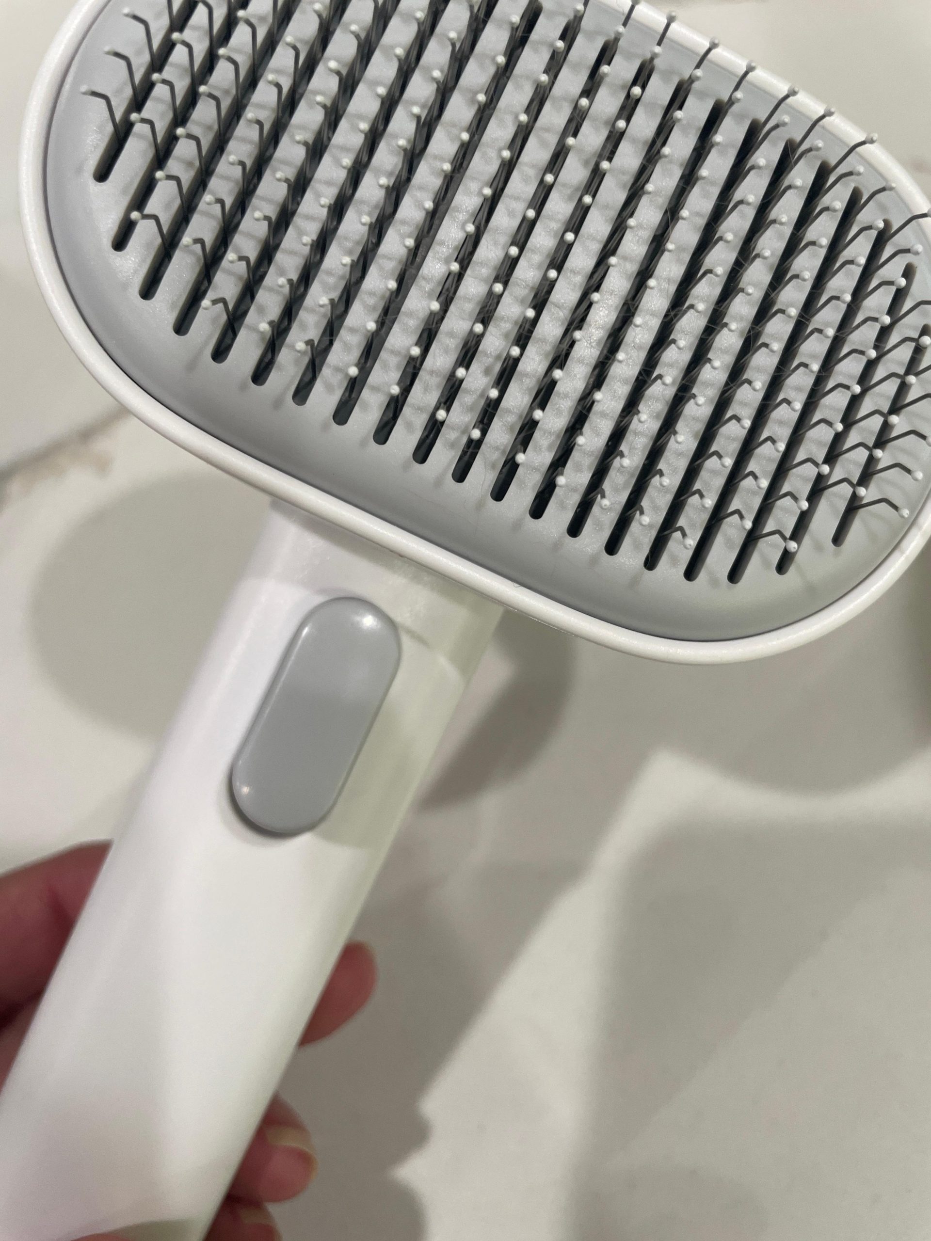 cat brush