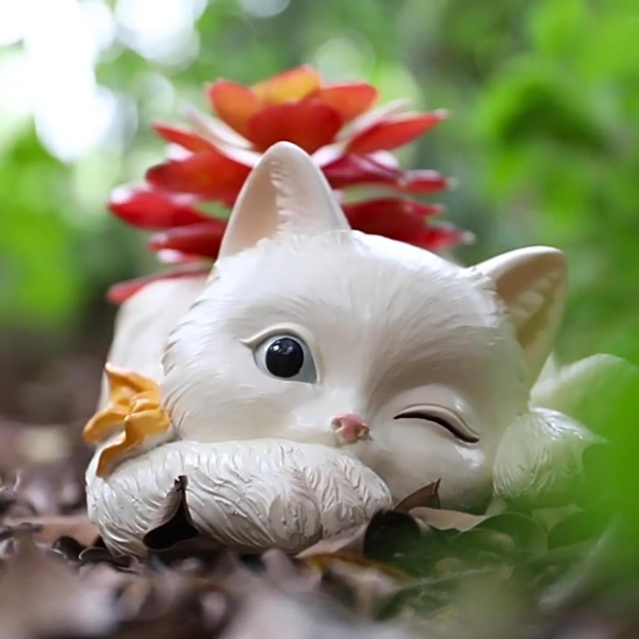 cat safe indoor plants