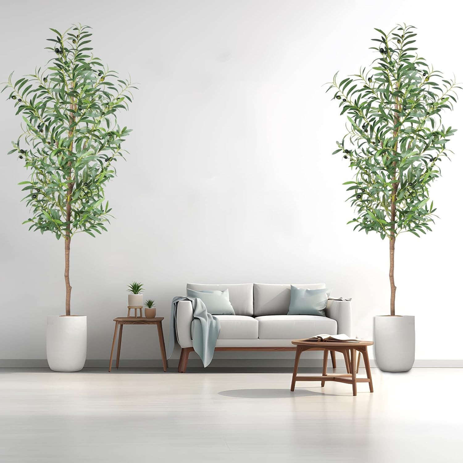 tall indoor plants