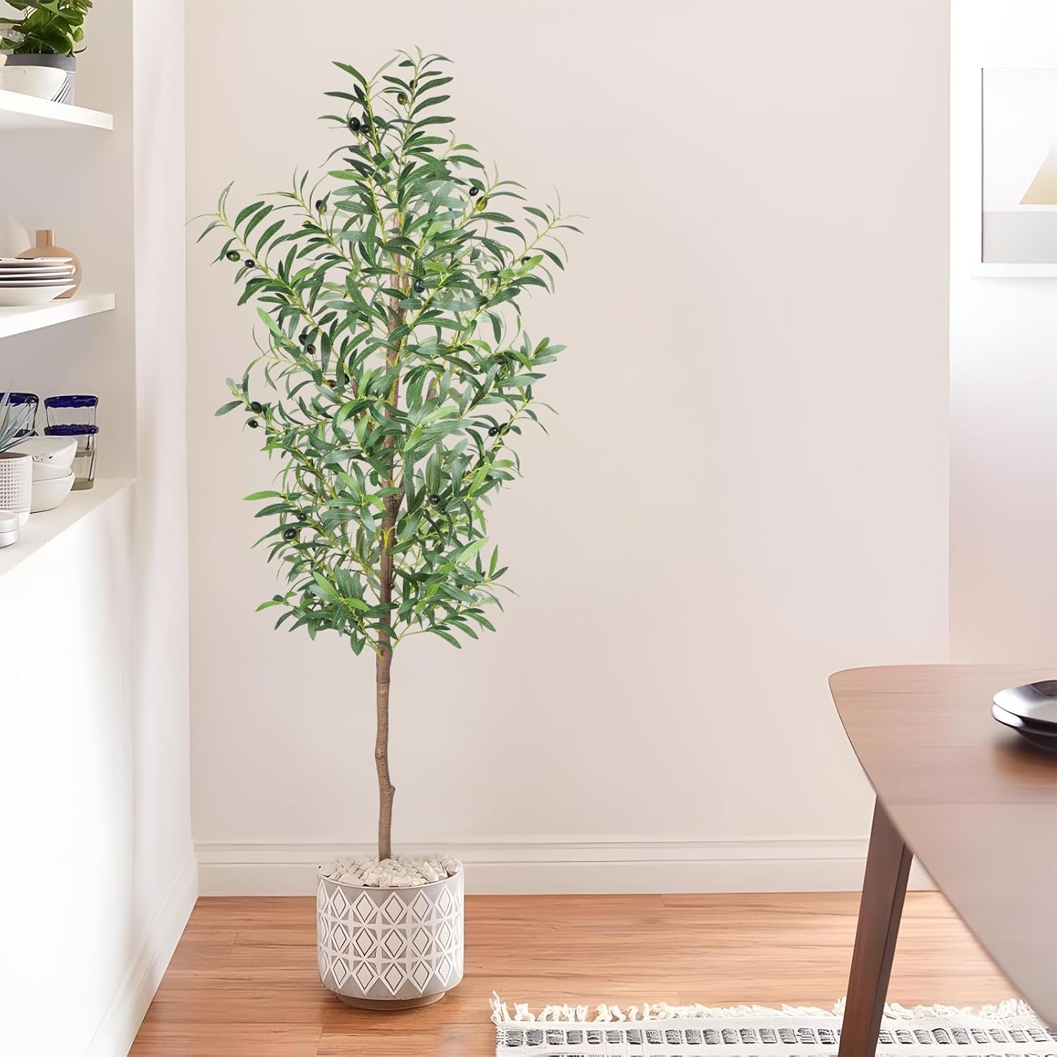 tall indoor plants