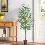 tall indoor plants