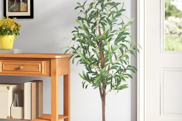 Tall Indoor Plants: Create Vertical Elegance in Your Home tall indoor plants